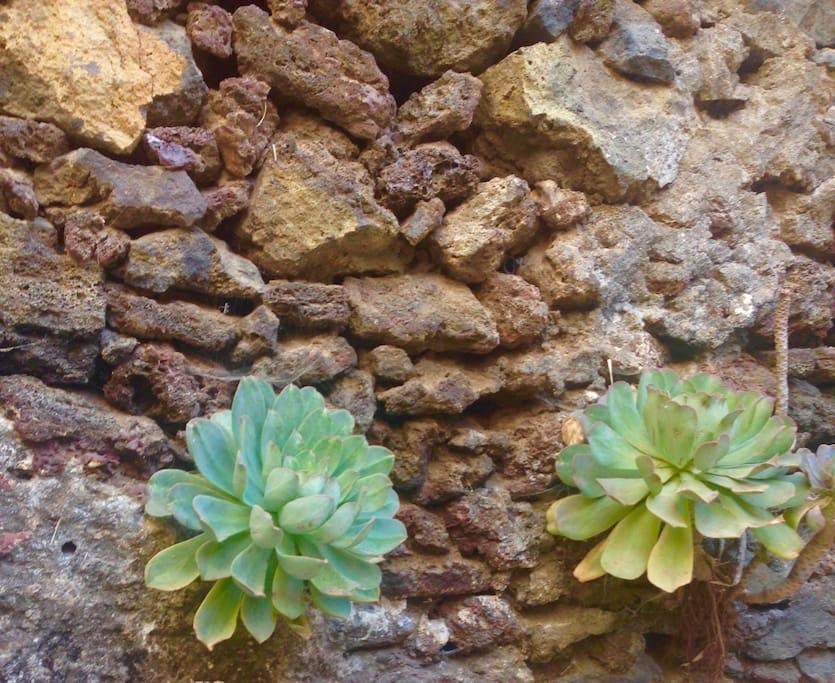 Villa Casa Poesia De El Hierro, Situada En El Centro De El Pinar El Pinar  Exterior foto