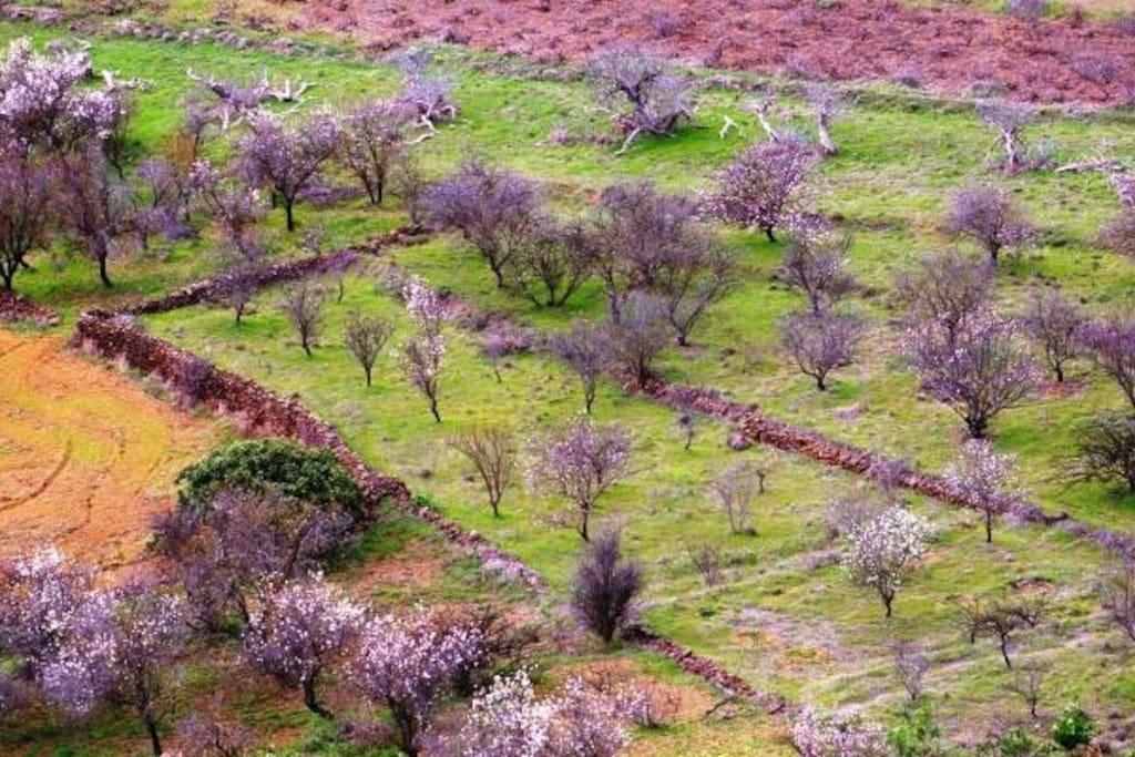 Villa Casa Poesia De El Hierro, Situada En El Centro De El Pinar El Pinar  Exterior foto