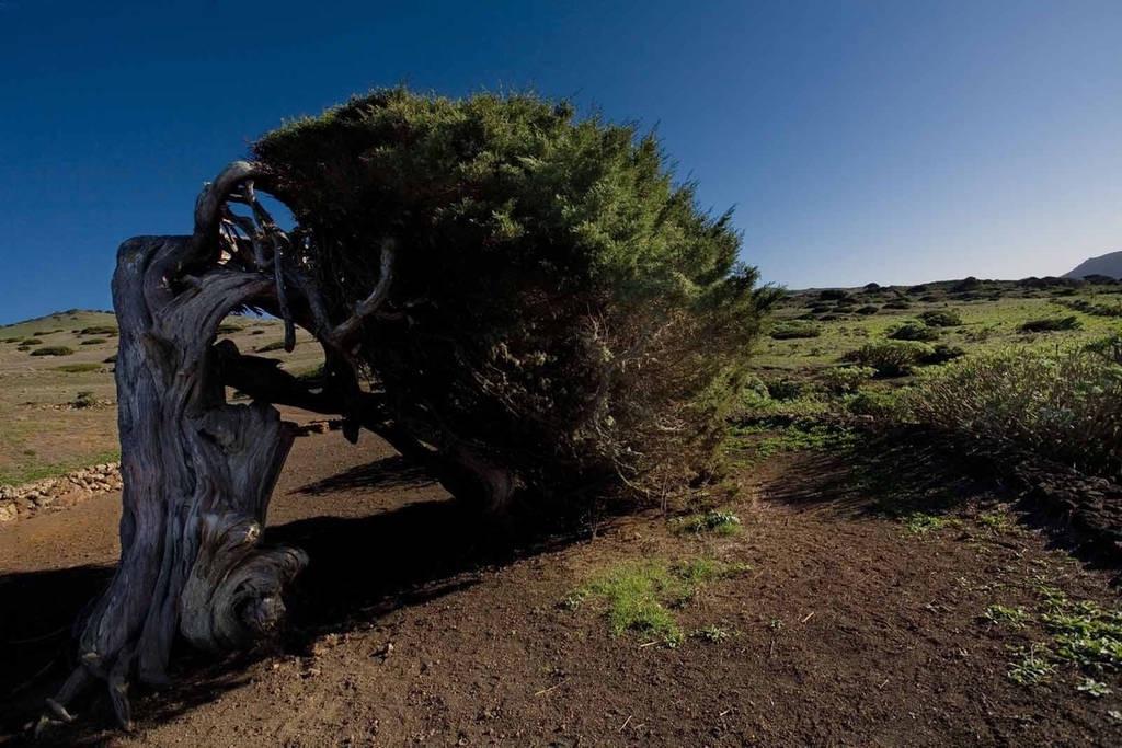 Villa Casa Poesia De El Hierro, Situada En El Centro De El Pinar El Pinar  Exterior foto